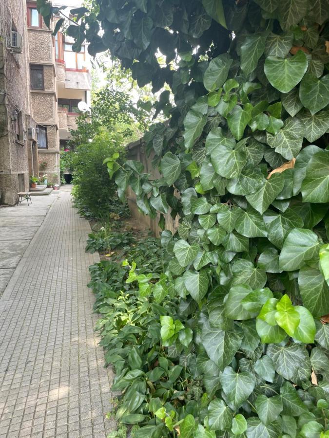 Old City Centre - Unforgettable House Bucharest Luaran gambar